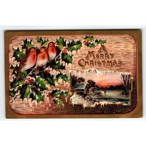 Christmas Postcard Birds On Holly Branches Cottage Embossed Germany Series 2179